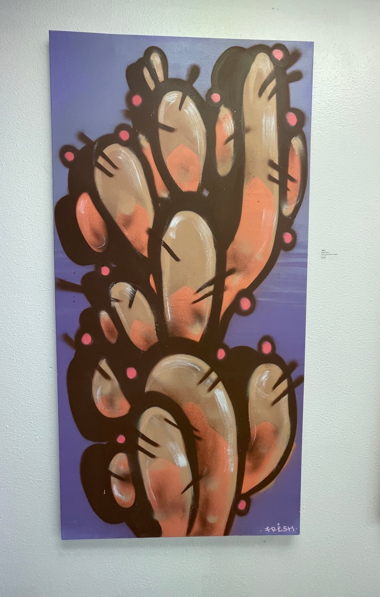 Brown Cactus • FRESH