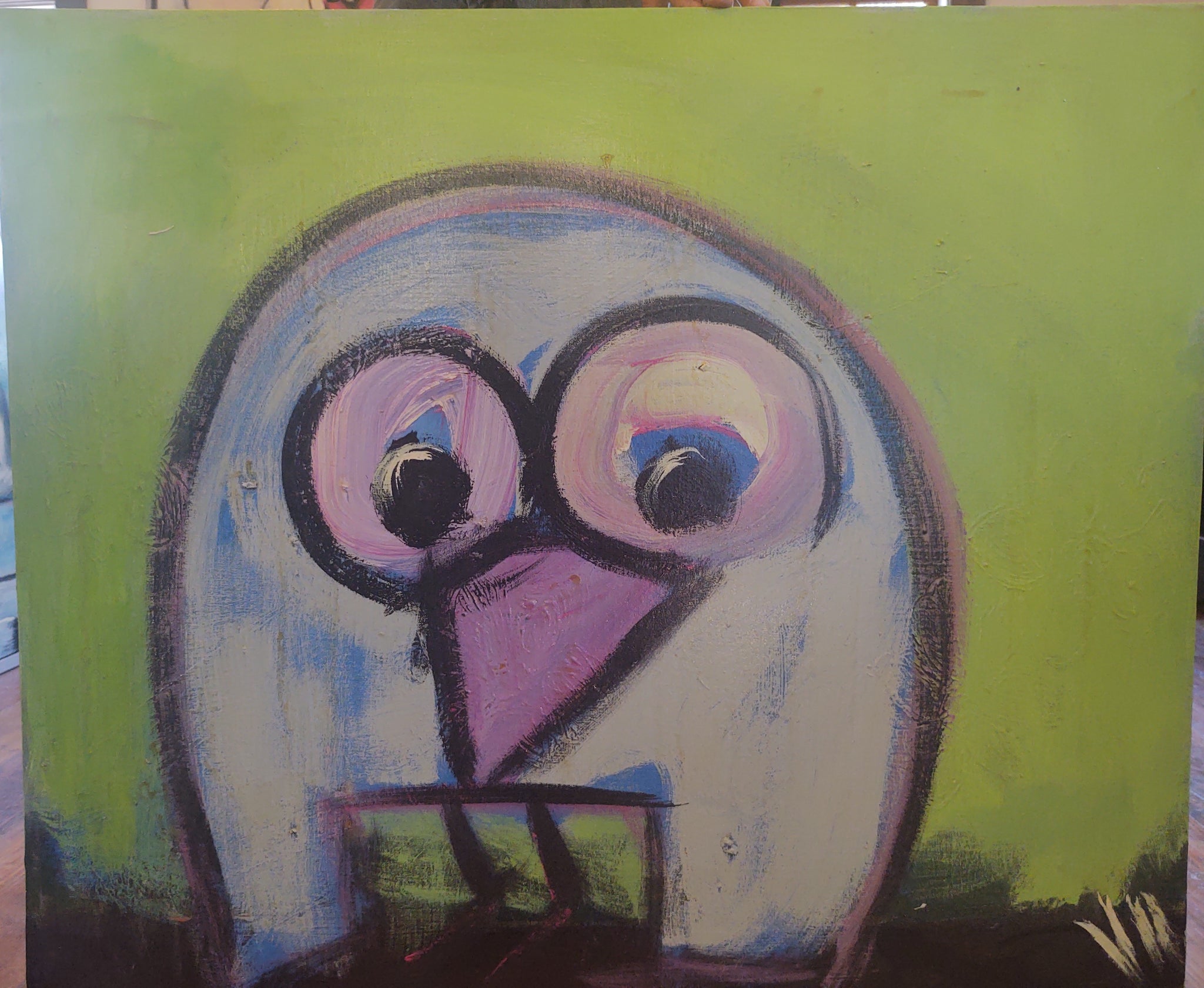 Big Eyed Bird• Jay Hill