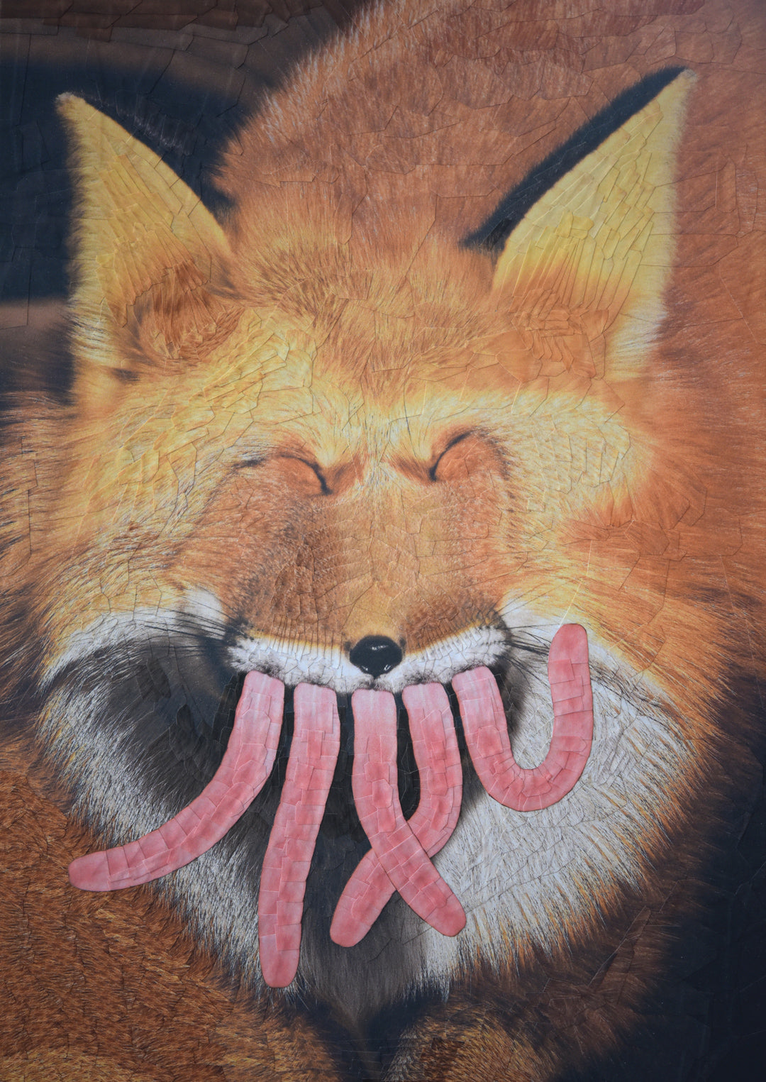 Fox • Lola Dupre