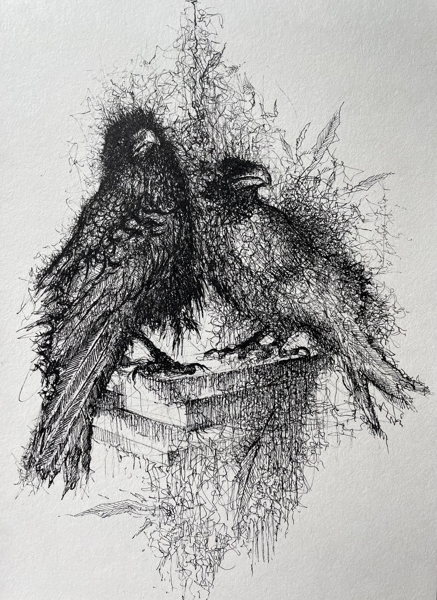 When you give someone else your feathers • Wynter Jones