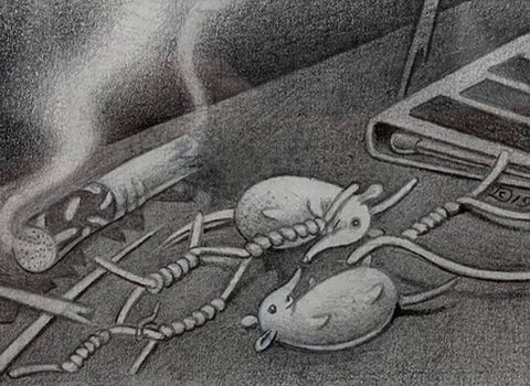 Bean Bugs