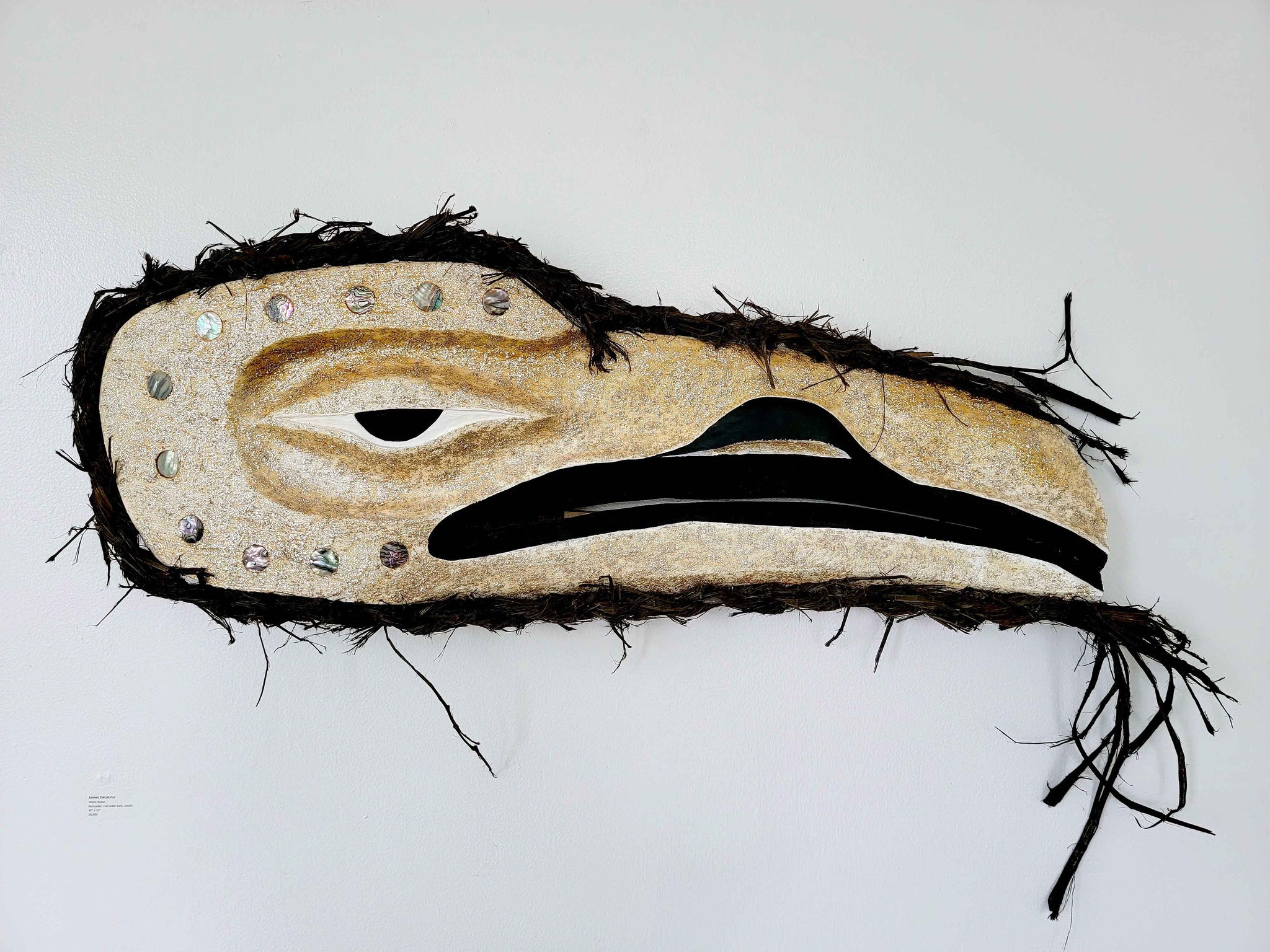 White Raven  • James DeLaCruz